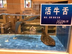 -双井轩(双井店)