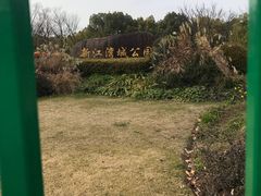 -新江湾城公园