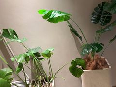 -泰合玺·精油疗愈 SPA(南京河西万达店)