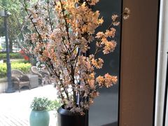 -子福慧(虹桥店)