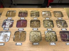 -1828王老吉·草本新茶(珠江新城地铁站店)