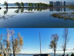 -洱海月湿地公园