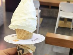 -野人先生Gelato(上海长宁龙之梦店)