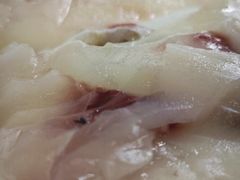 -源港渔村-中山脆肉鲩(博罗店)