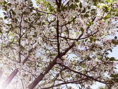 -白塘生态植物园