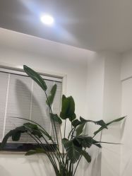 -上海首尔丽格医疗美容医院