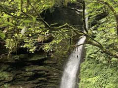 -碧峰峡风景区