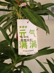点击看大图 -宝馨月月子中心(友谊医院店)