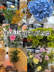 -薇薇安花系SPA