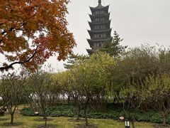 -上海方塔园