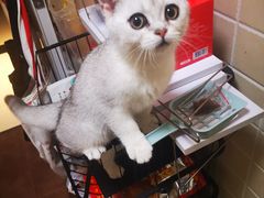 -宠颐生中康贝怡动物医院