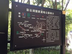 -重庆彩云湖湿地公园