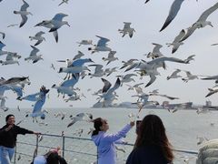 -海驴岛(荣成市)
