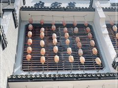 -农家大院(纪王店)