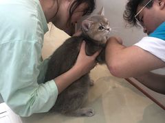 -瑞派康怡24h宠物医院·犬猫医疗中心·微创绝育(瑞景分院)