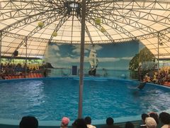 -尼莫海豚馆