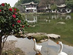 -团城山公园