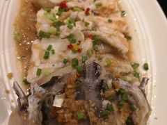 清蒸江团鱼-眉州东坡·熊猫主题餐厅(枫蓝店)