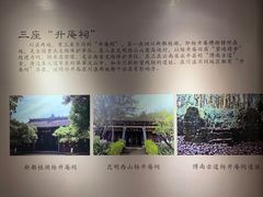 -桂湖森林公园