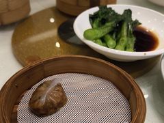 -东方御宴海鲜酒楼(棕泉酒店)