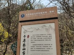 -北京鹫峰国家森林公园