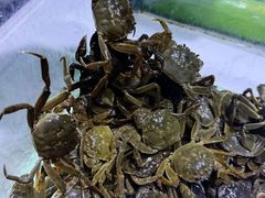 -聚盛源蒸汽海鲜火锅烤肉自助(巨川金海岸购物广场店)