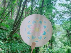 -素山寺森林公园