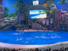 -珠海长隆海洋王国