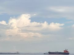 -珍宝海鲜(东海岸海鲜中心)