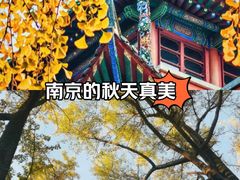-郑和公园