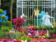 -上海共青森林公园