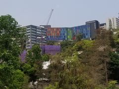 -大埔公路-马料水段香港中文大学(公交站)