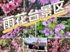 -南京雨花台风景区