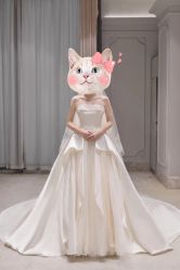-MuseMarry婚纱(前海嘉里中心店)