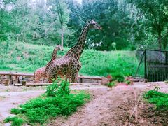 -北京野生动物园