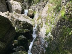 -牛背梁国家森林公园