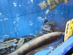 -厨房好味(国贸店)