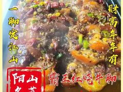 -食德喜·阳山鸡王食研基地