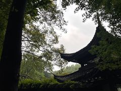 -杭州植物园