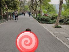 -苏堤停车场