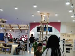 -喵园·猫主题咖啡厅·撸猫·猫咖(国贸店)