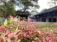 -杭州植物园