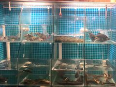 水产区-西塘人家•黑金冠本地好店