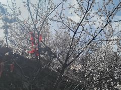 -妙峰山风景名胜区