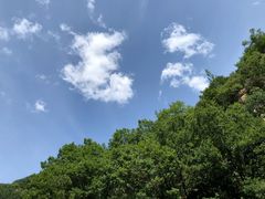 -驼梁风景区