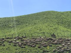 -新疆那拉提国家旅游度假区