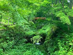 -三千院