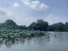 -西溪国家湿地公园