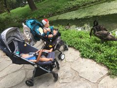 -北京麋鹿生态实验中心
