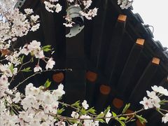 -华东政法大学松江校区-停车场